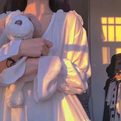 萌犬流浪记