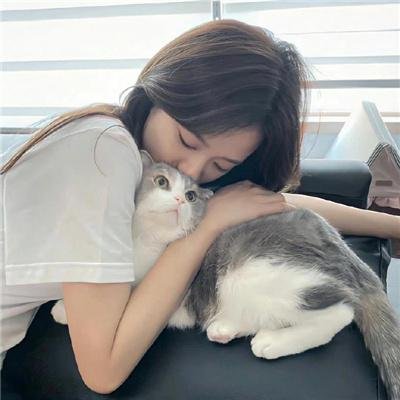 辛德瑞拉的诡计